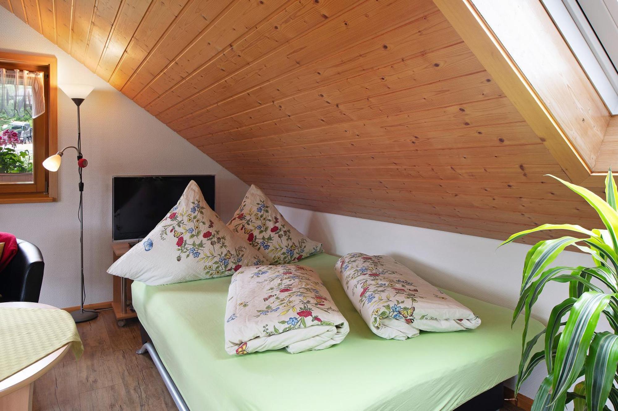 Ferienwohnung Blasi Mit Alpensicht Ibach Exterior foto