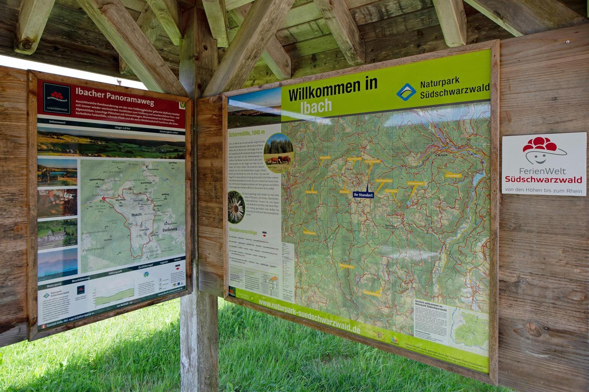 Ferienwohnung Blasi Mit Alpensicht Ibach Exterior foto