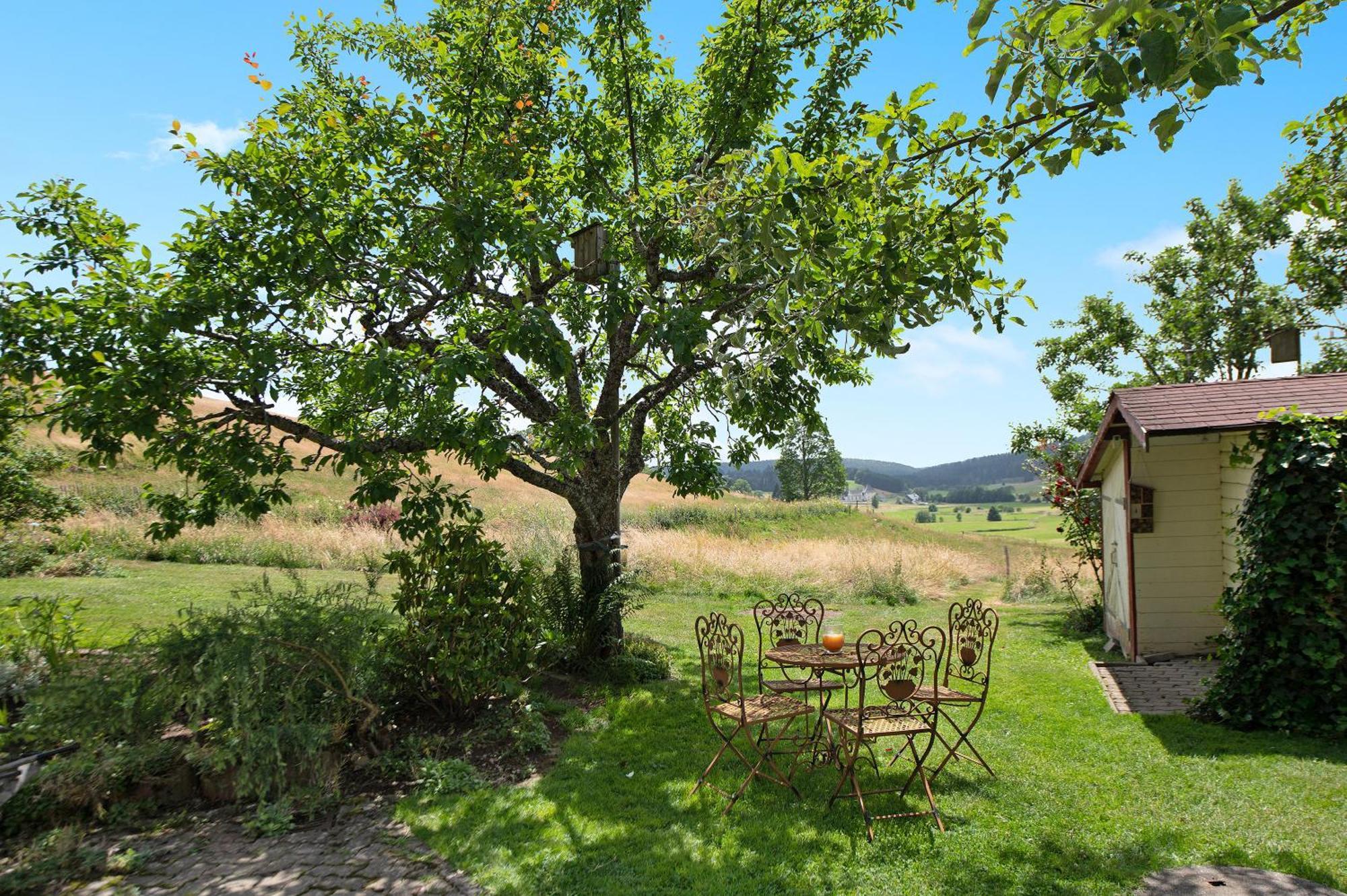 Ferienwohnung Blasi Mit Alpensicht Ibach Exterior foto